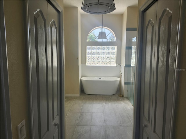 full bathroom featuring a freestanding tub