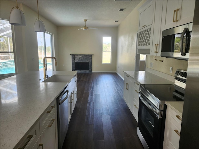 kitchen featuring stainless steel appliances, a premium fireplace, a sink, and a healthy amount of sunlight