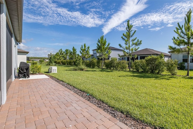 view of yard featuring a patio