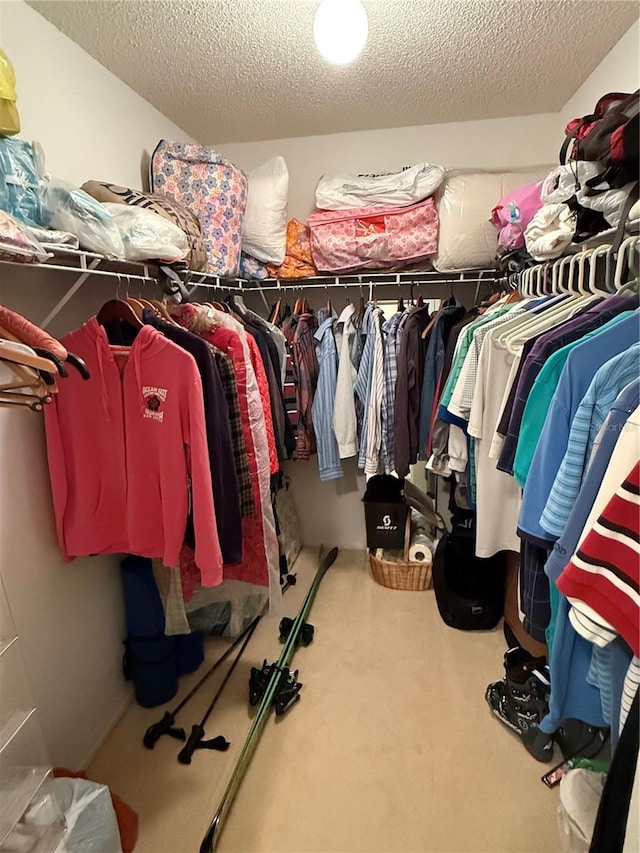 spacious closet featuring carpet flooring