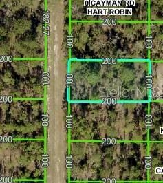 16464 Cayman Rd, Brooksville, FL 34614 - photo 1