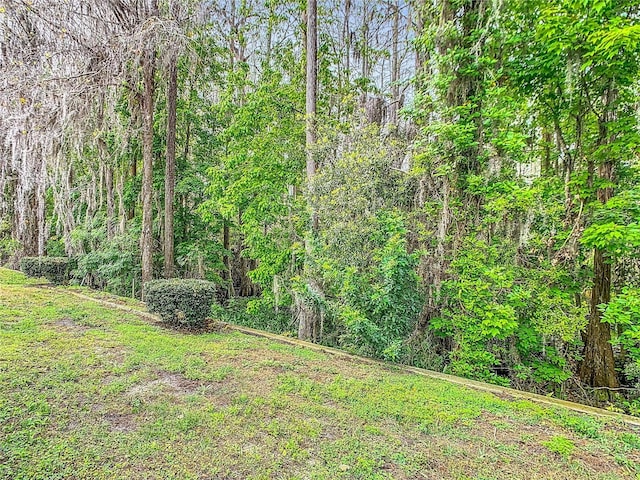 view of yard featuring a view of trees