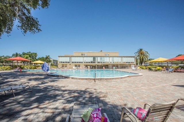 pool with a patio area