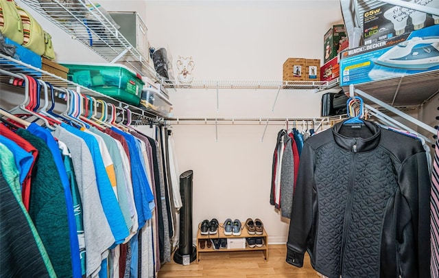 walk in closet featuring wood finished floors