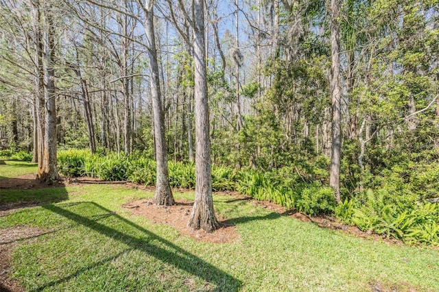 view of yard featuring a wooded view