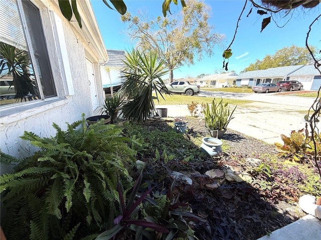 view of yard featuring a residential view