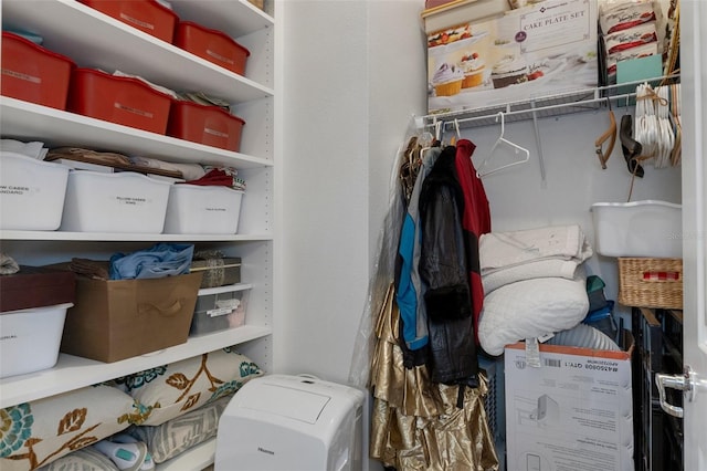 view of closet