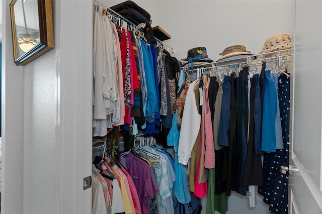 view of walk in closet