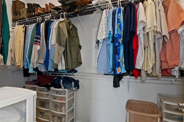 view of spacious closet