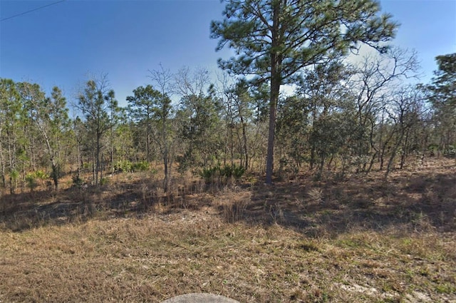 Listing photo 2 for 16382 Kingbird Rd, Brooksville FL 34614