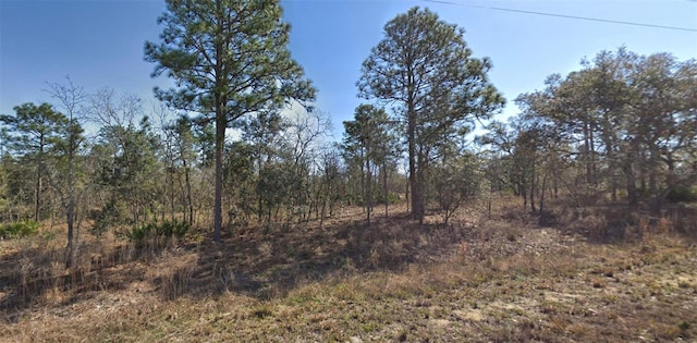 Listing photo 3 for 16382 Kingbird Rd, Brooksville FL 34614