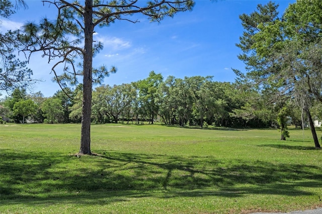 view of community featuring a yard