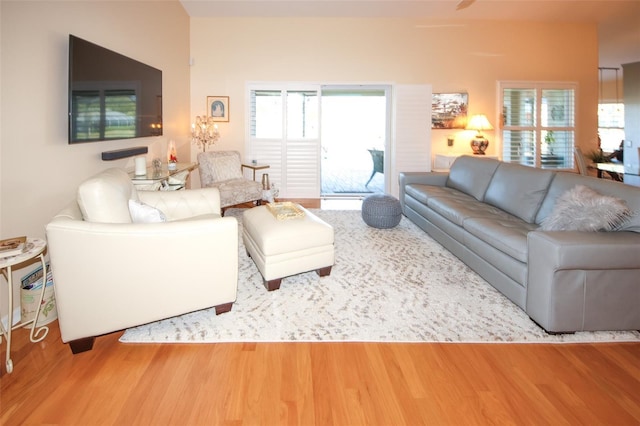 living area featuring wood finished floors