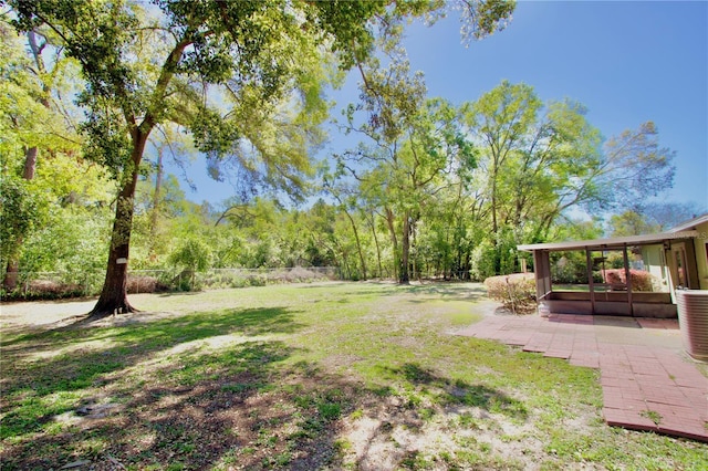 view of yard featuring a patio area