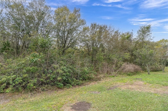 view of yard featuring a view of trees