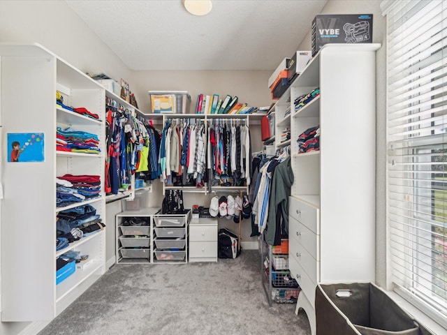 spacious closet featuring carpet floors