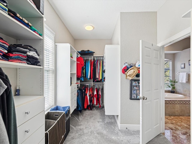 walk in closet featuring carpet