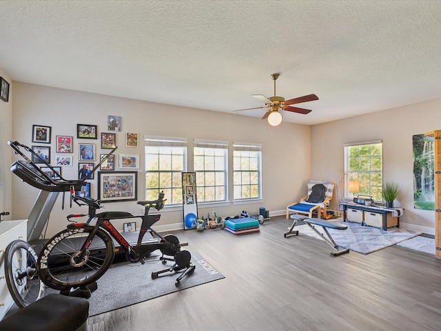 workout room with baseboards, a textured ceiling, and wood finished floors