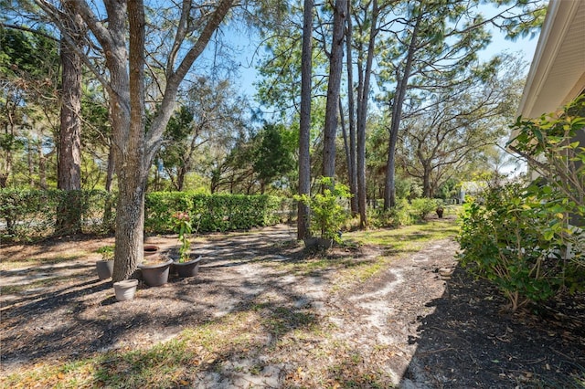 view of yard