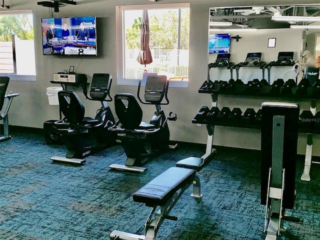 exercise room featuring carpet flooring