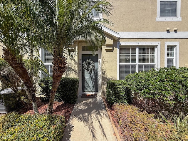 view of exterior entry with stucco siding