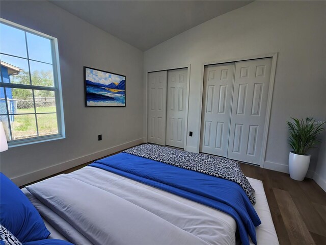 1032 Concert Ave, Spring Hill, FL 34609 - bedroom with baseboards, multiple closets, lofted ceiling, and wood finished floors