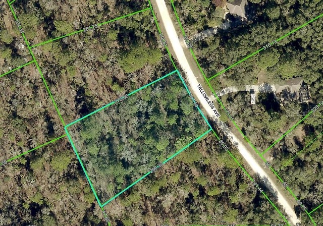 10520 Yellowlegs Ave, Weeki Wachee FL, 34614 land for sale