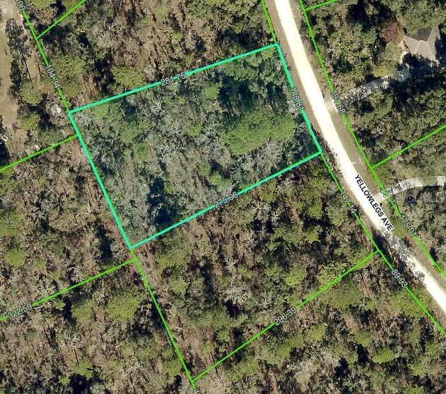 10506 Yellowlegs Ave, Weeki Wachee FL, 34614 land for sale