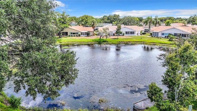 water view with a residential view