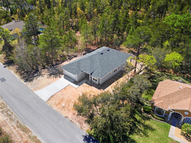 49 Lone Pine St, Homosassa, FL 34446 - photo 6