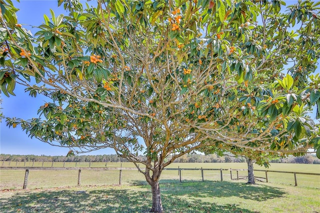13496 S Oakview Ave, Floral City, FL 34436 - photo 81