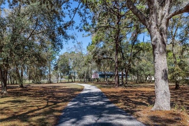 13496 S Oakview Ave, Floral City, FL 34436 - photo 91