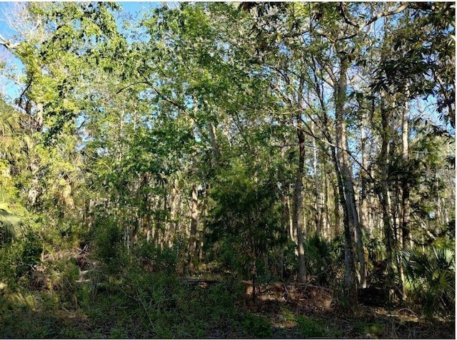 Indian Bay Rd, Spring Hill FL, 34607 land for sale