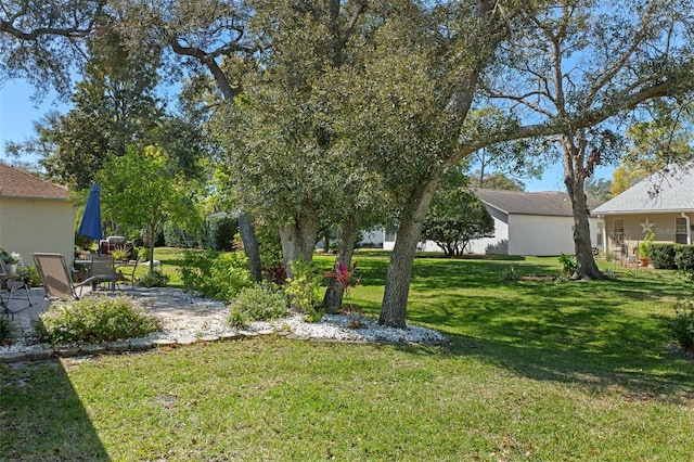 view of yard featuring a patio