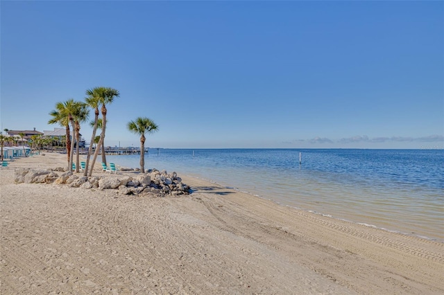 water view featuring a beach view