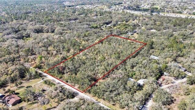 Ozark, Hudson, FL 34667