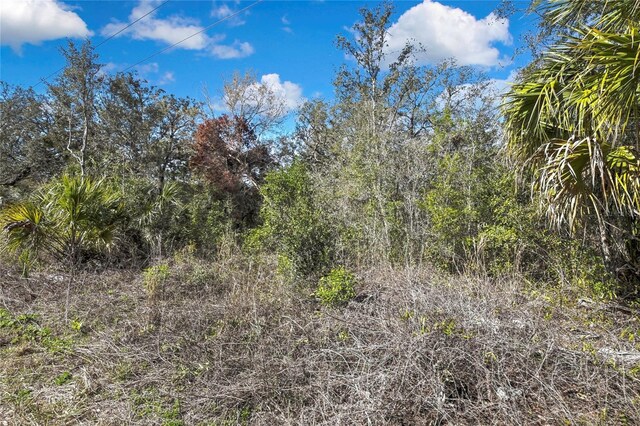 Ozark, Hudson, FL 34667