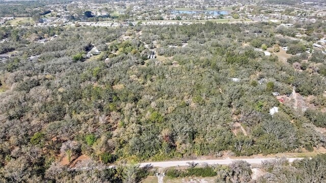 Ozark, Hudson, FL 34667