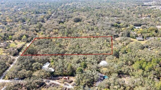 Ozark, Hudson, FL 34667