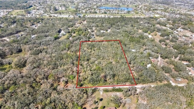 Ozark, Hudson, FL 34667
