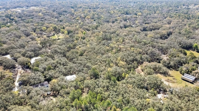 Ozark, Hudson, FL 34667
