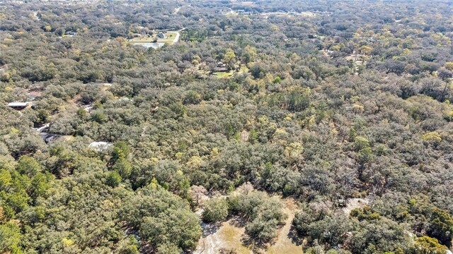 Ozark, Hudson, FL 34667