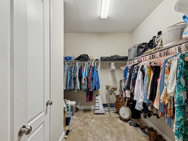 spacious closet featuring carpet