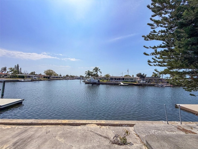 dock area with a water view