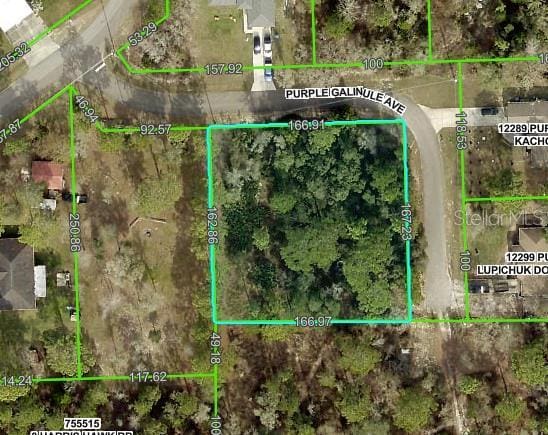 0 Purple Galinule Ave, Brooksville FL, 34614 land for sale