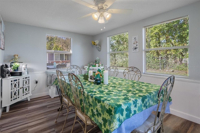 dining space featuring a ceiling fan and wood finished floors