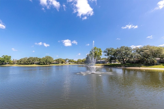 property view of water