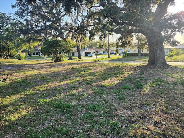 view of yard featuring a residential view