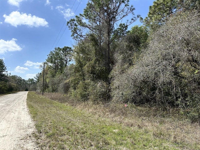 0 Courlan Rd, Brooksville FL, 34614 land for sale