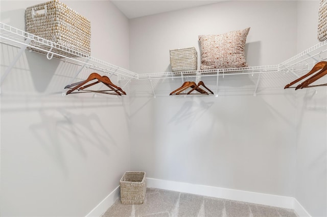 spacious closet featuring carpet floors